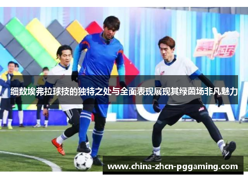 细数埃弗拉球技的独特之处与全面表现展现其绿茵场非凡魅力 细数埃弗拉球技的独特之处与全面表现展现其绿茵场非凡魅力