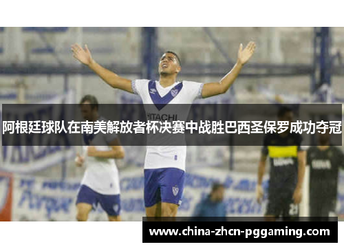 阿根廷球队在南美解放者杯决赛中战胜巴西圣保罗成功夺冠