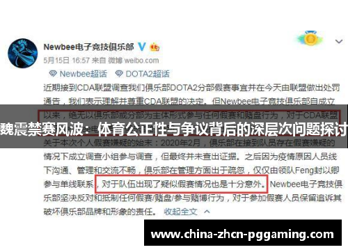 魏震禁赛风波：体育公正性与争议背后的深层次问题探讨